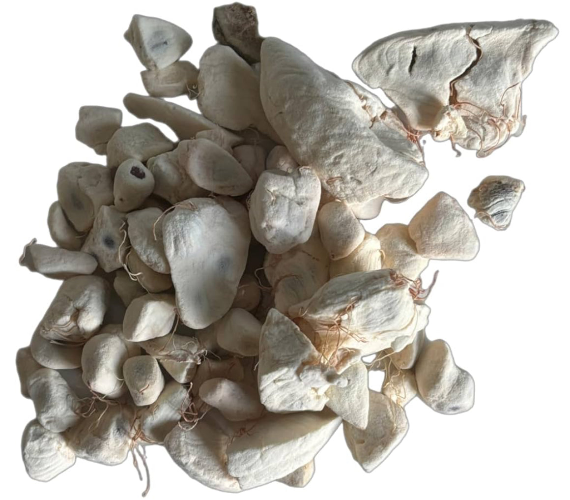 Poudre  de fruit de baobab